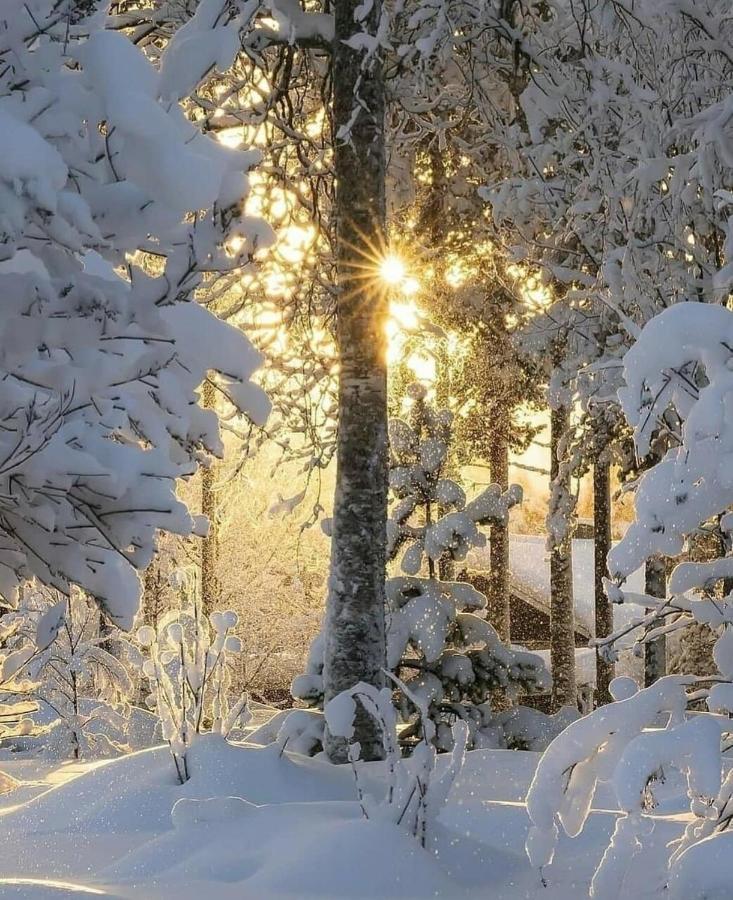 Posada El Pareon Sirviella Dış mekan fotoğraf