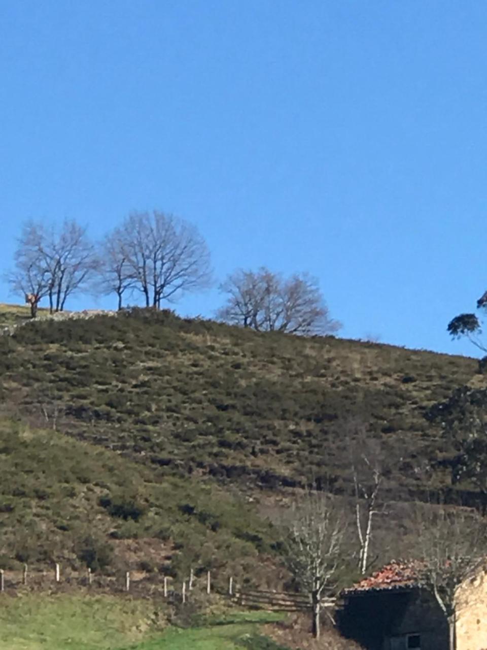 Posada El Pareon Sirviella Dış mekan fotoğraf
